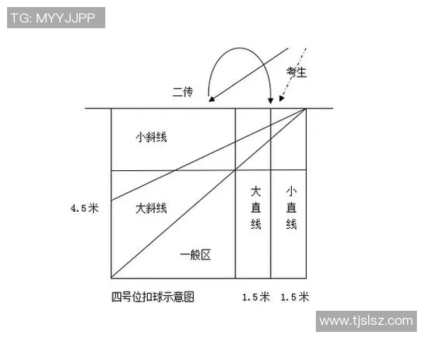 基于排球运动员扣球点高度与得分成功率关系的建模分析研究