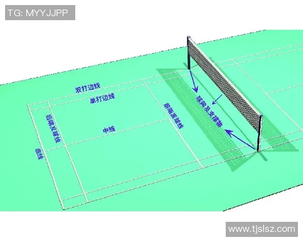 羽毛球赛事裁判公正性及争议事件