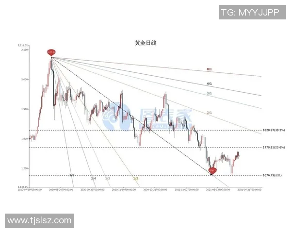 【深度解析】选秀近况+未来走势预测